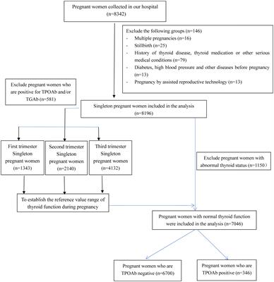 Maternal thyroid peroxidase antibody positivity and its association with incidence of low birth weight in infants